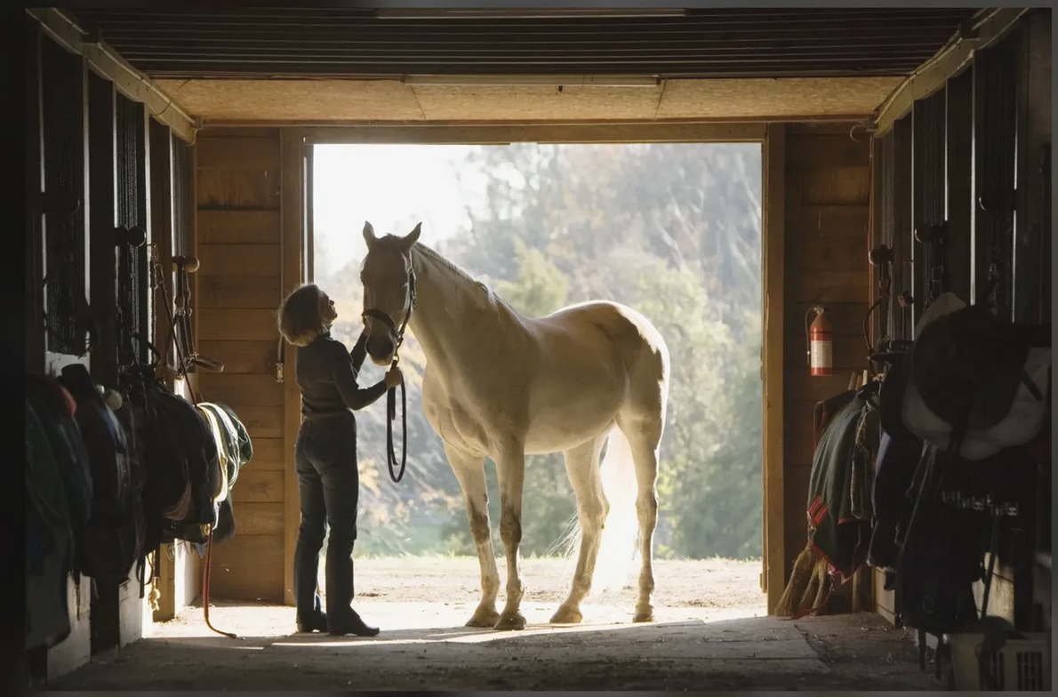 A newly retired lady spending time with her horse at the entrance to her beautiful barn.